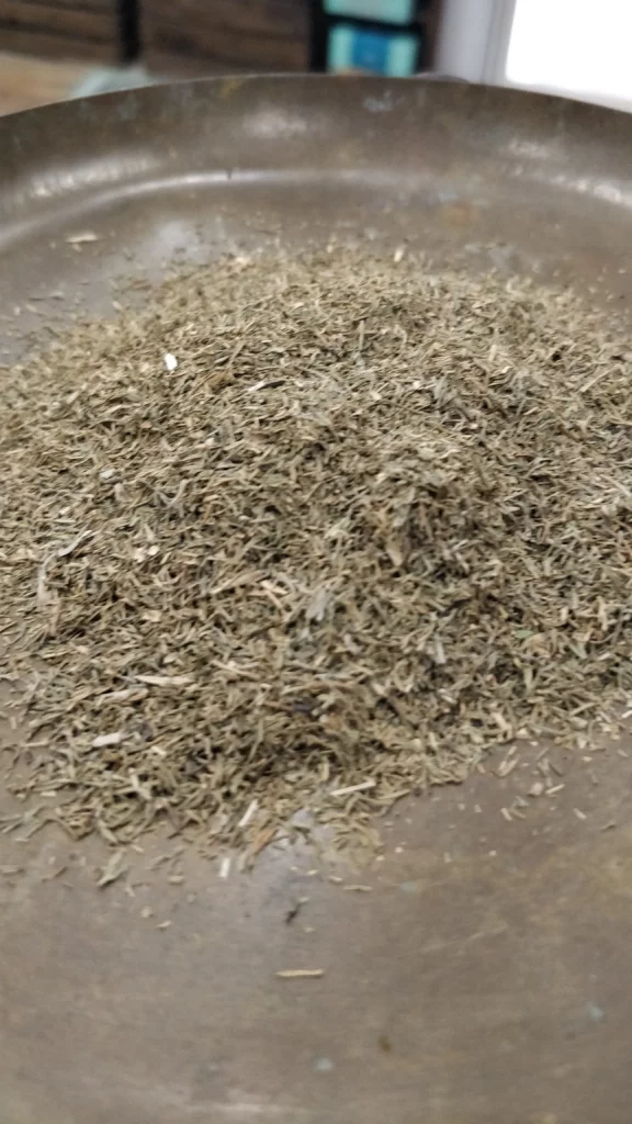 Aneth – Anethum graveolens (Feuille)