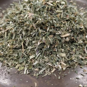 Alfafa – Medicago sativa