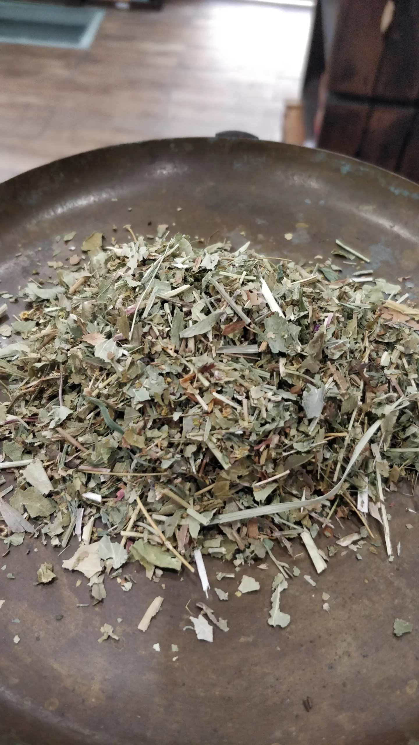 Alchémille – Alchemilla vulgaris