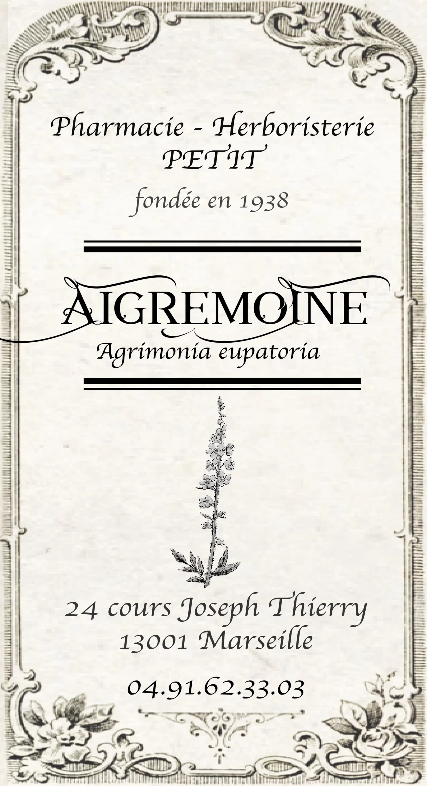 Aigremoine – Agrimonia eupatoria – Image 2