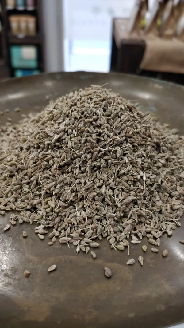 Anis vert – Pimpinella anisum