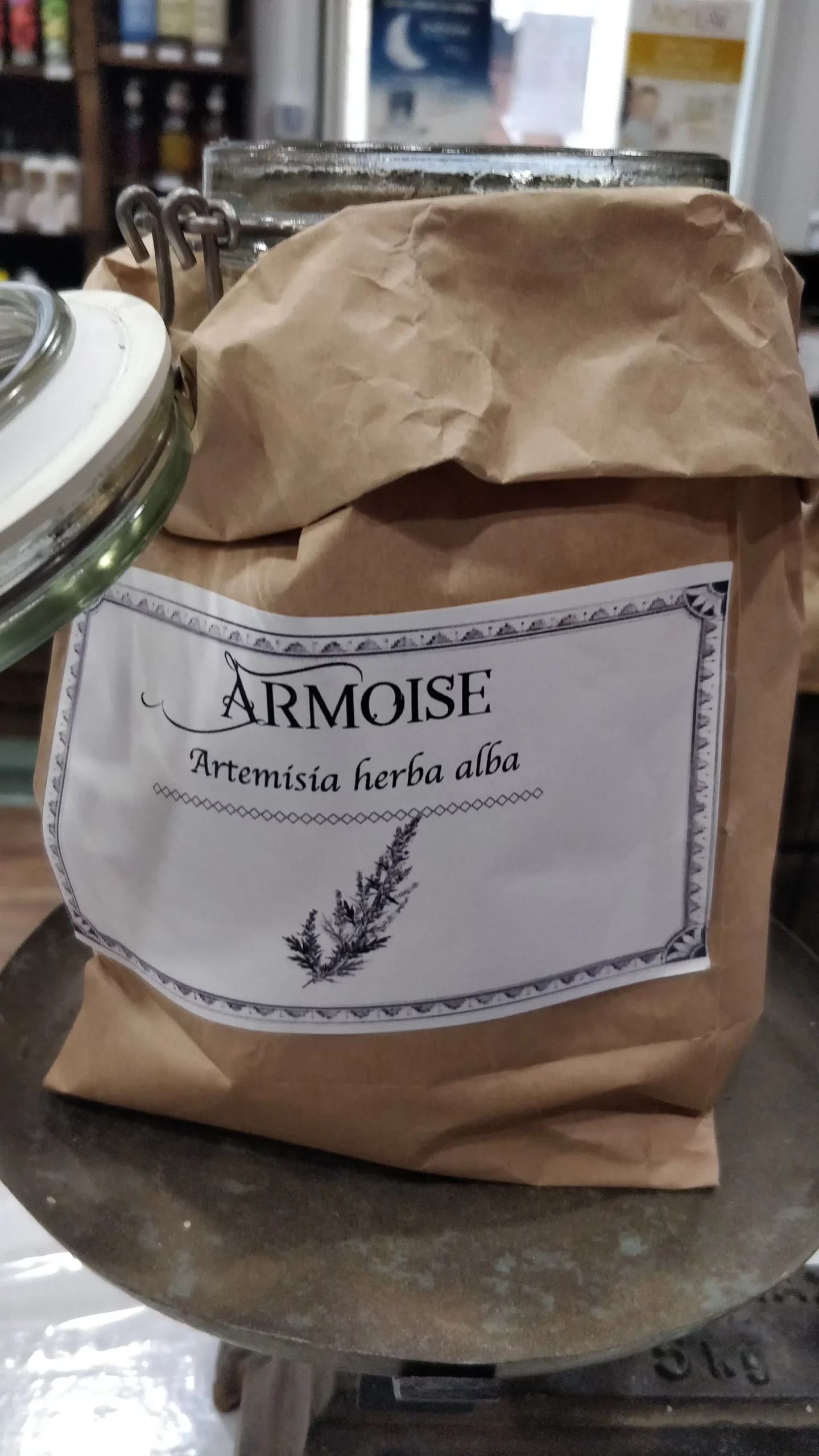 Armoise commune – Artemisia vulgaris – Image 2