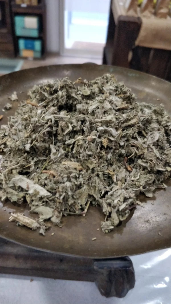 Artichaut – Cynara scolymus