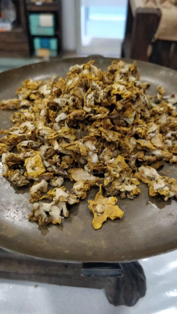 Bouillon blanc – Verbascum thapsus