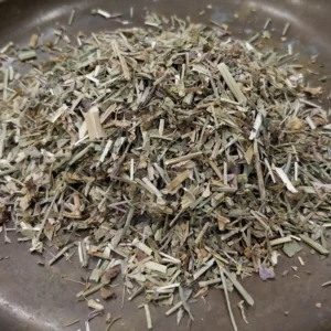 Bourse à pasteur – Capsella bursa pastoris