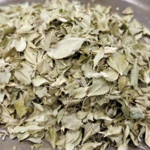 Buchu – Agathosma betulina