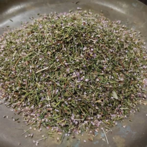 Bruyère – Calluna vulgaris