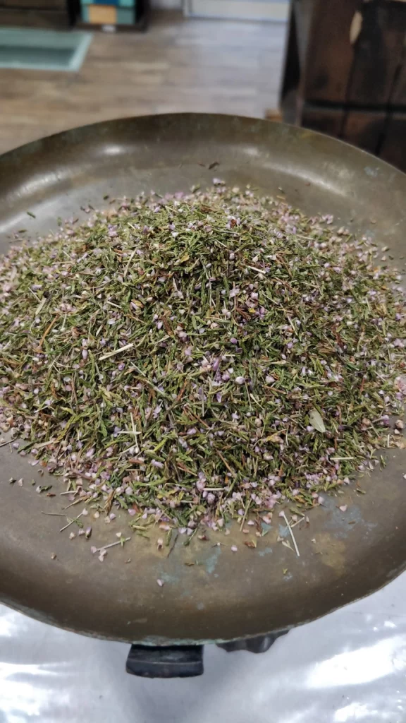 Bruyère – Calluna vulgaris