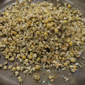 Camomille allemande – Matricaria chamomilla