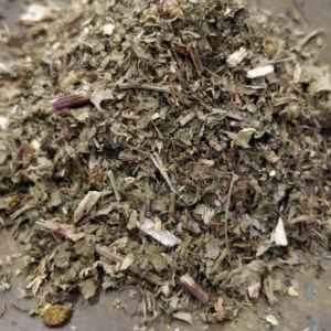 Grande camomille – Tanacetum parthenium