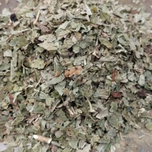 Cassis – Ribes Nigrum