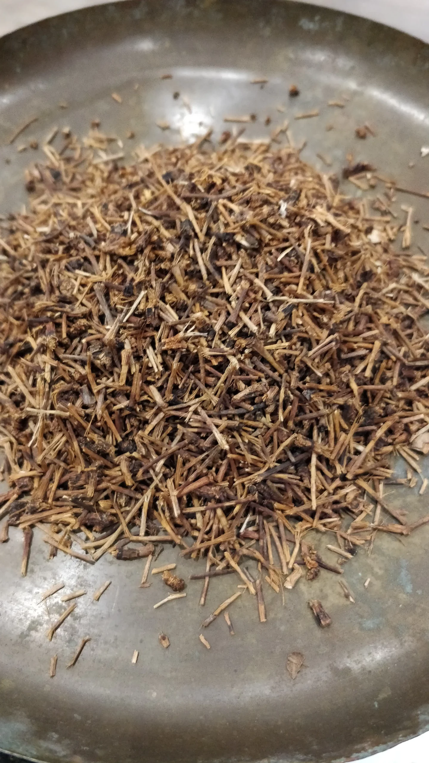 Cerisier – Prunus cerasus