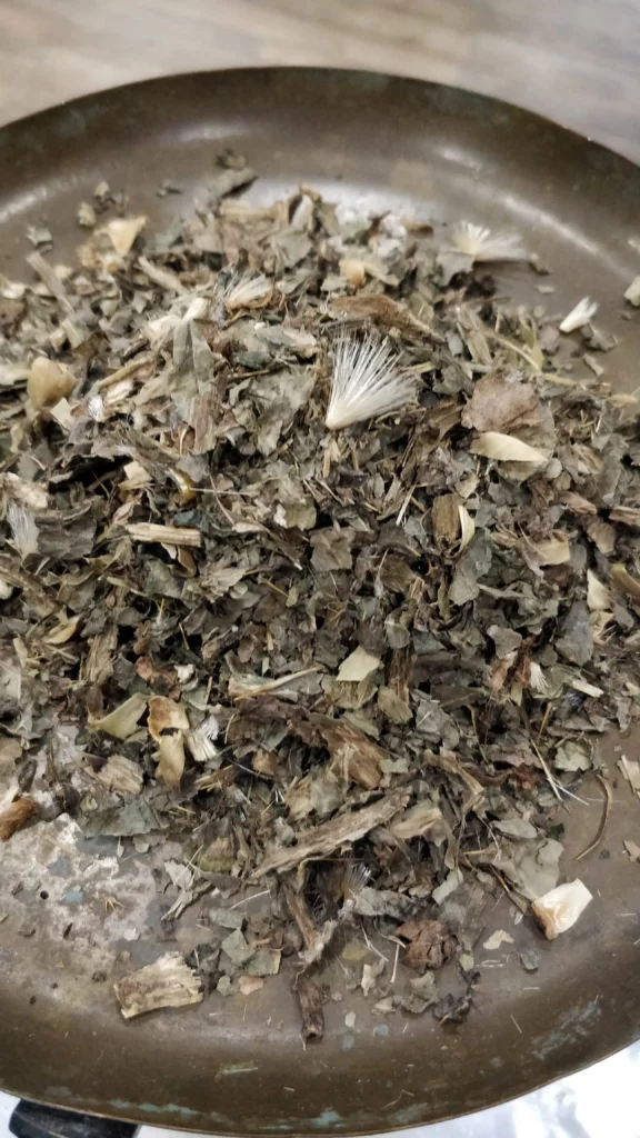 Chardon-Marie – Silybum marianumnus