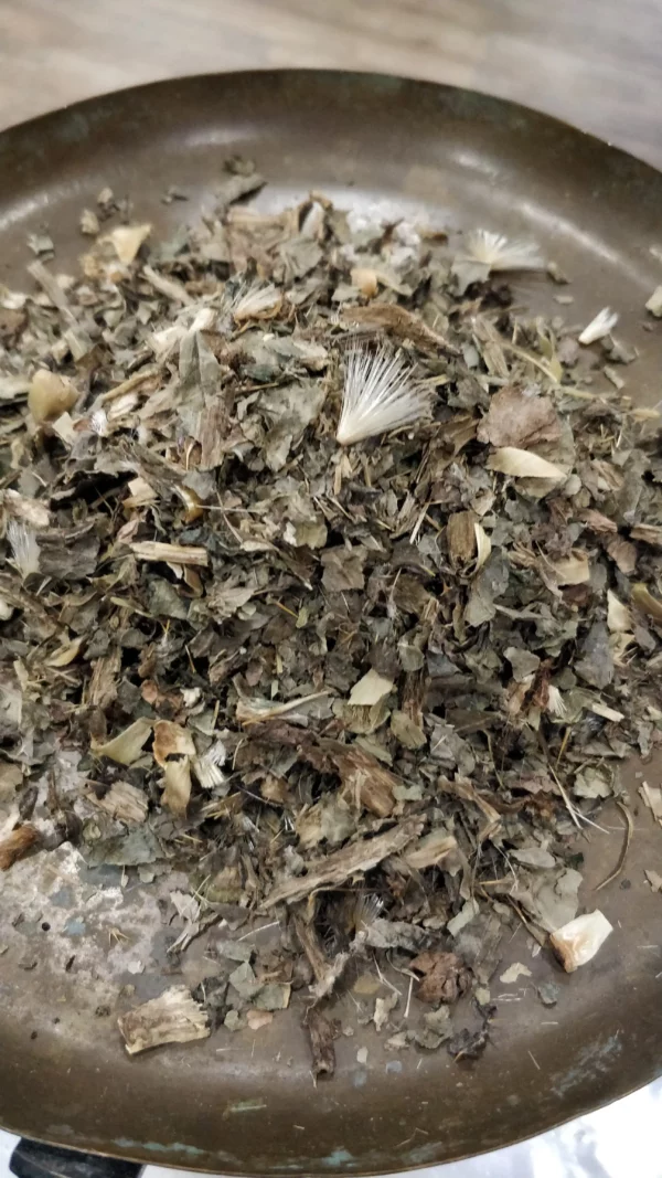 Chardon-Marie – Silybum marianumnus