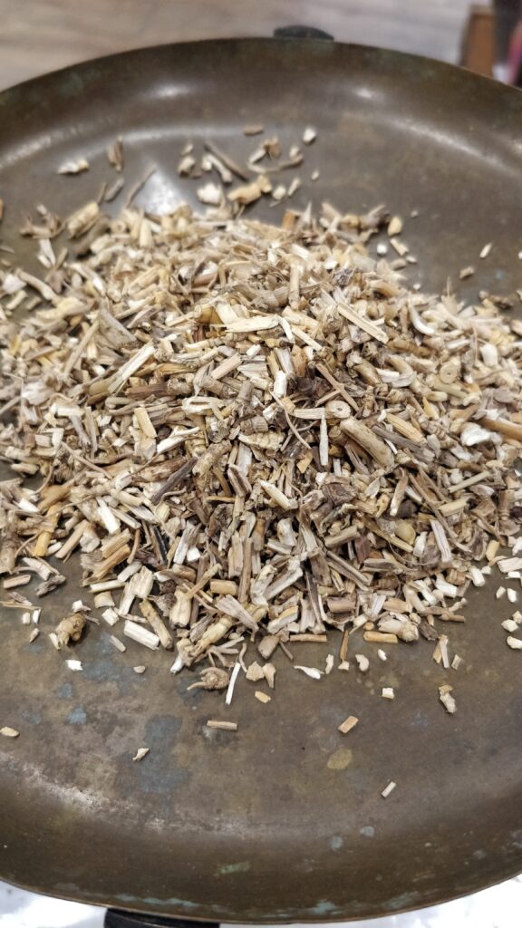 Chiendent – Agropyrum repens