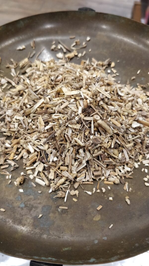 Chiendent – Agropyrum repens