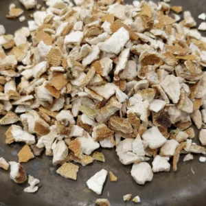 Citronnier- Citrus limon