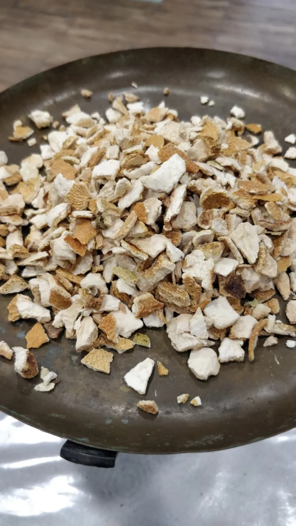 Citronnier- Citrus limon
