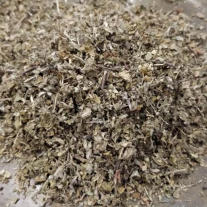 Damiana – Turnera diffusa