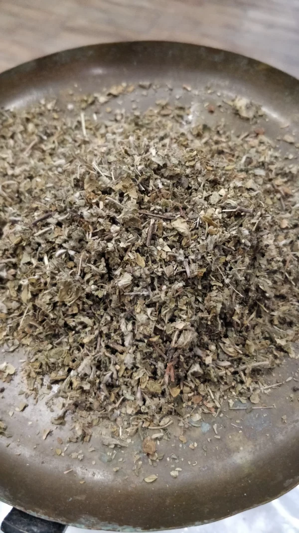 Damiana – Turnera diffusa