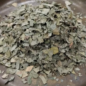 Desmodium – Desmodium adsendens