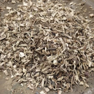 Echinacée pourpre – Echinacea angustifolia