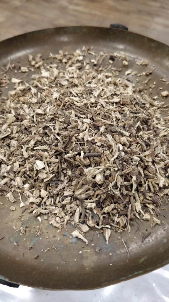 Echinacée pourpre – Echinacea angustifolia
