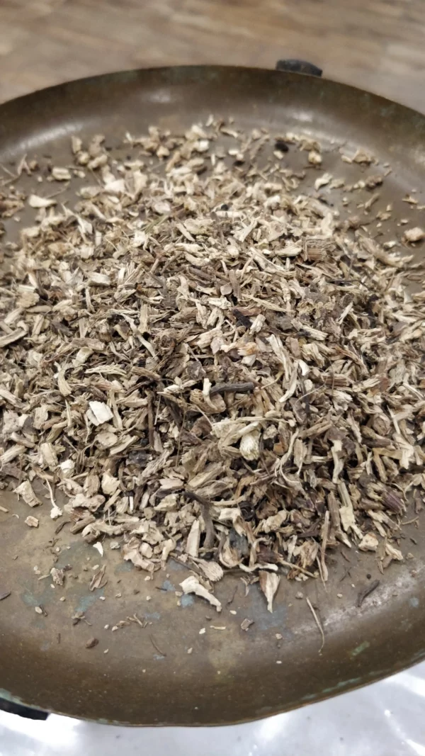 Echinacée pourpre – Echinacea angustifolia