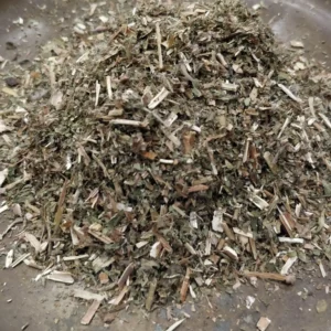 Epilobe - Epilobium parviflorum