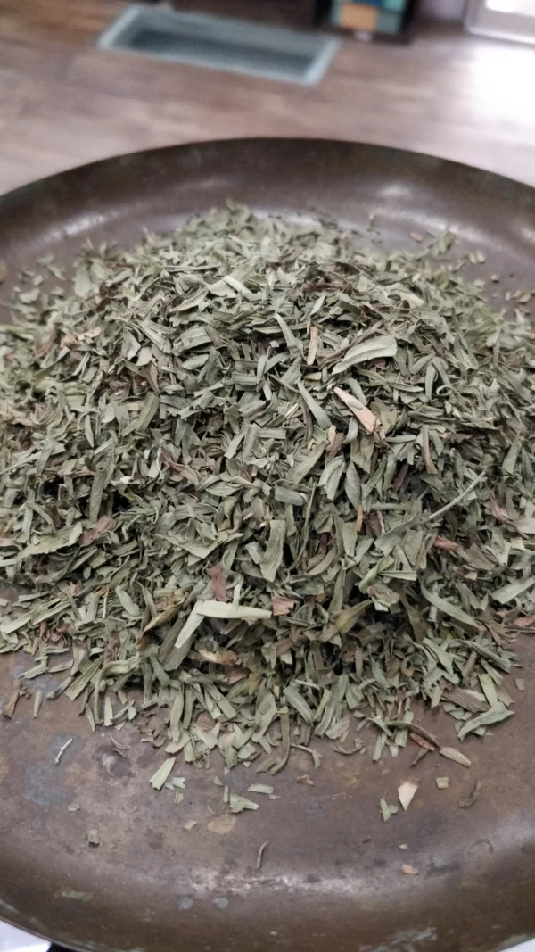 Estragon - Artemisia dragonculus