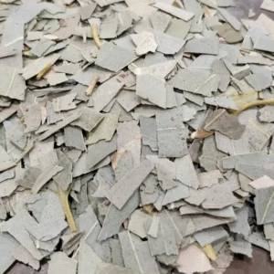 Eucalyptus – Eucalyptus globulus