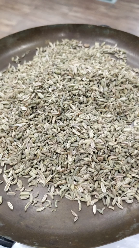 Fenouil - Foeniculum vulgare