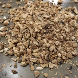 Gentiane - Gentiana lutea