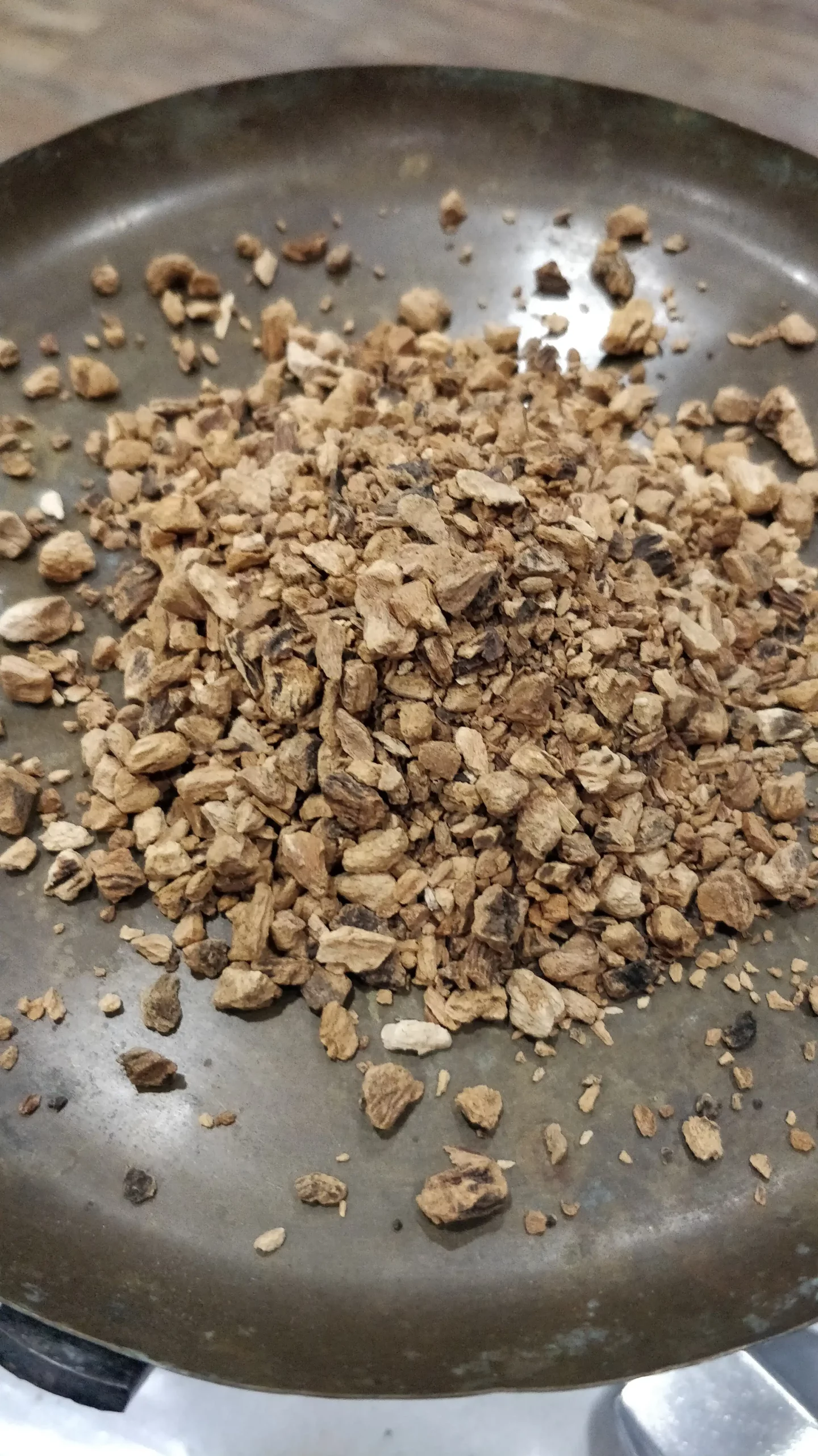 Gentiane - Gentiana lutea