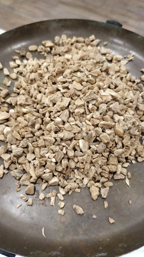 Gingembre - Zingiber officinalis