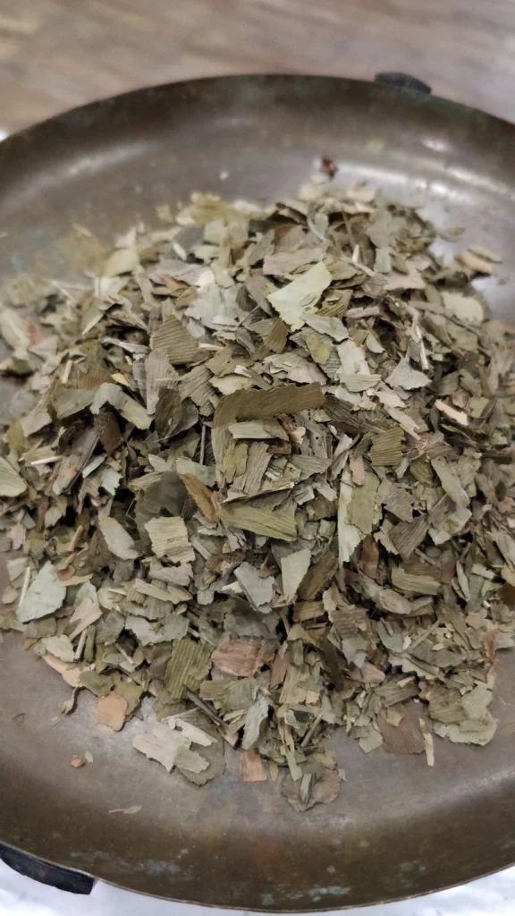 Ginkgo - Ginkgo biloba