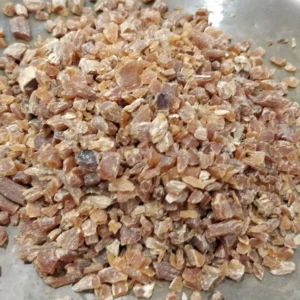 Ginseng - Panax ginseng