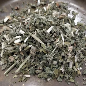 Guimauve - Althaea officinalis