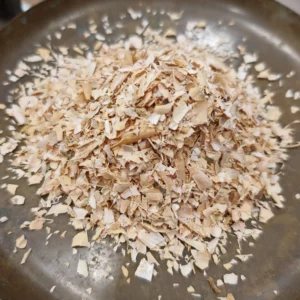 Haricot - Phaseolus vulgaris