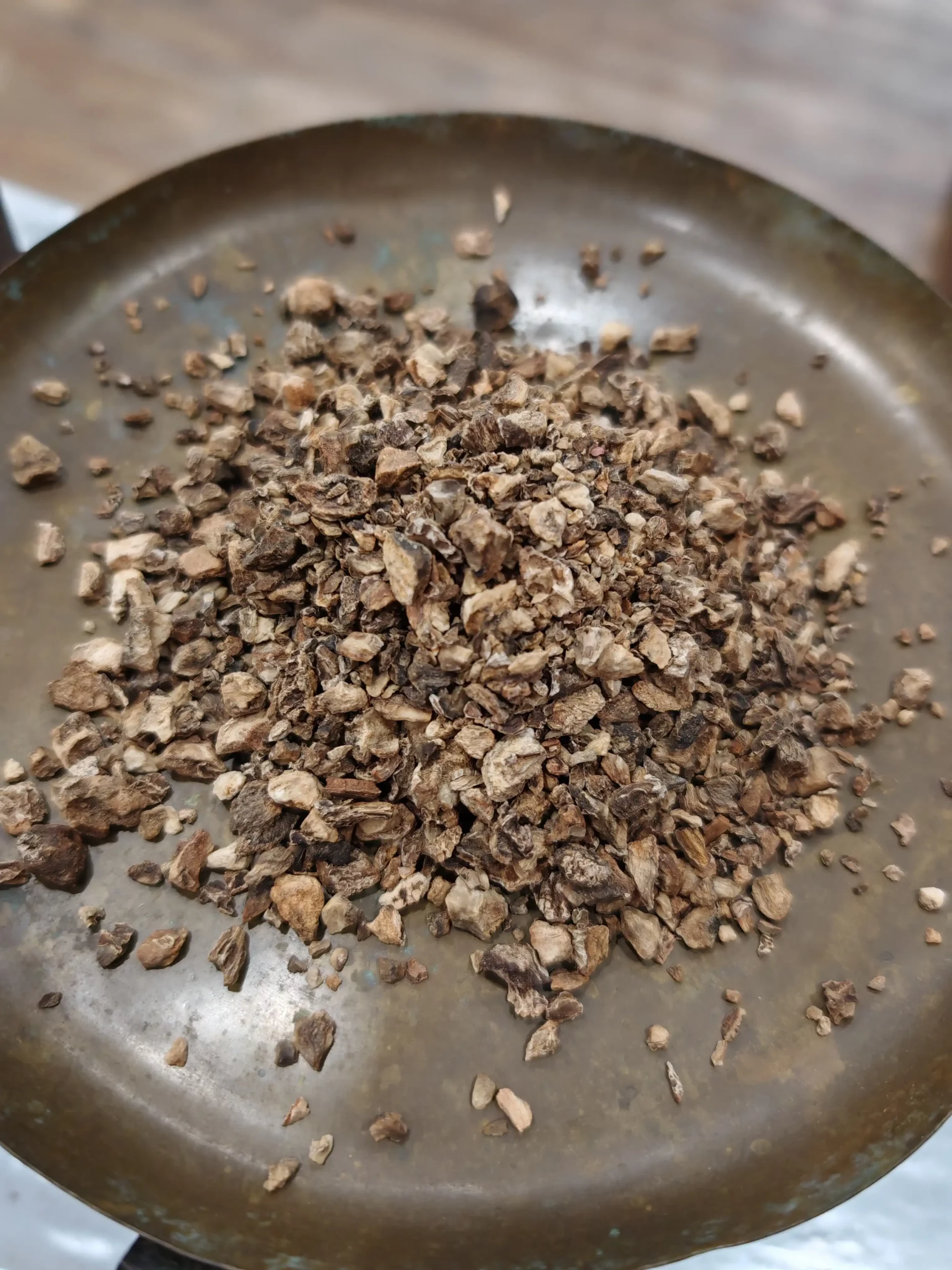 Harpagophytum - Harpagophytum procumbens