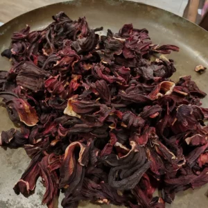 Hibiscus - Hibiscus sabdarifa