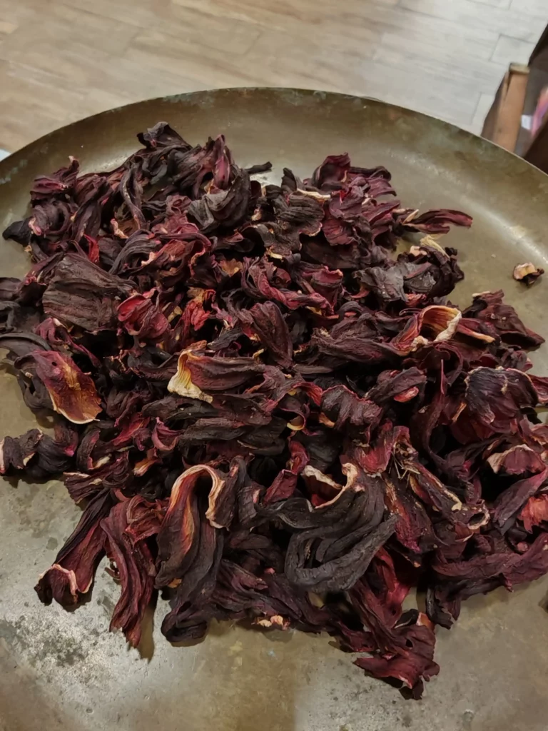Hibiscus - Hibiscus sabdarifa