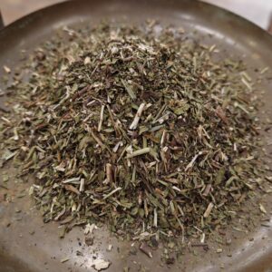 Hysope - Hyssopus officinalis