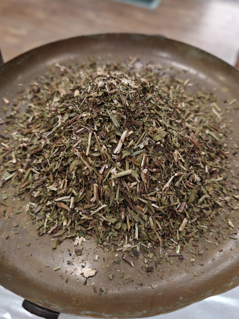 Hysope - Hyssopus officinalis