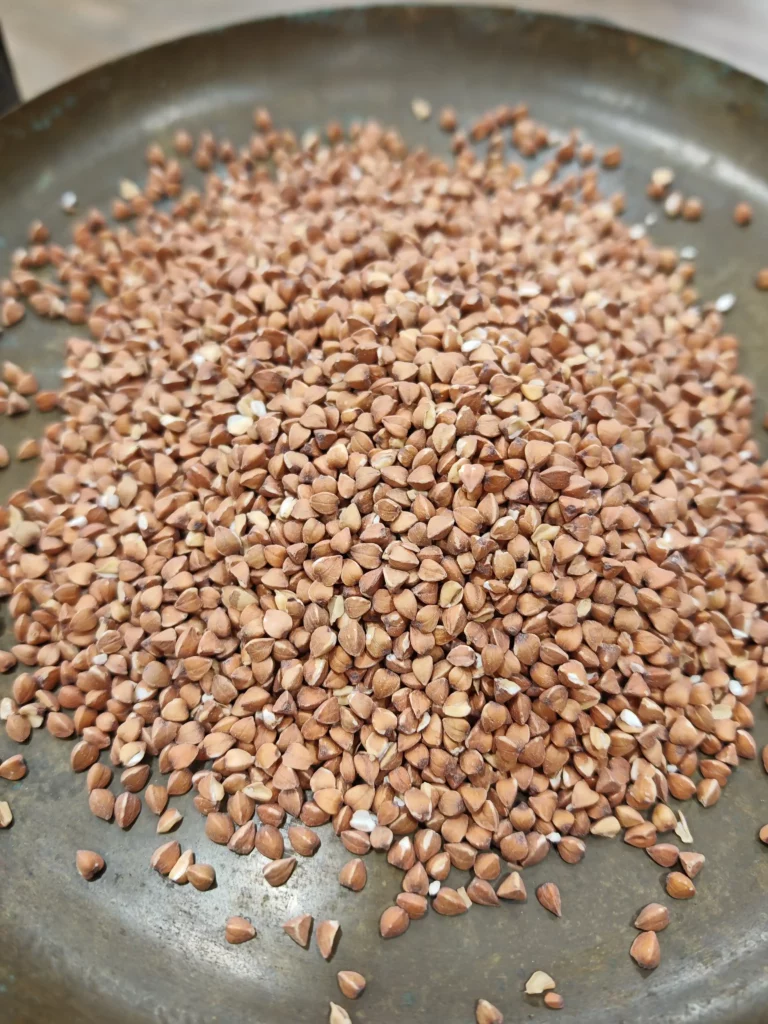 Kasha (Sarrasin) - Fagopyrum esculentum