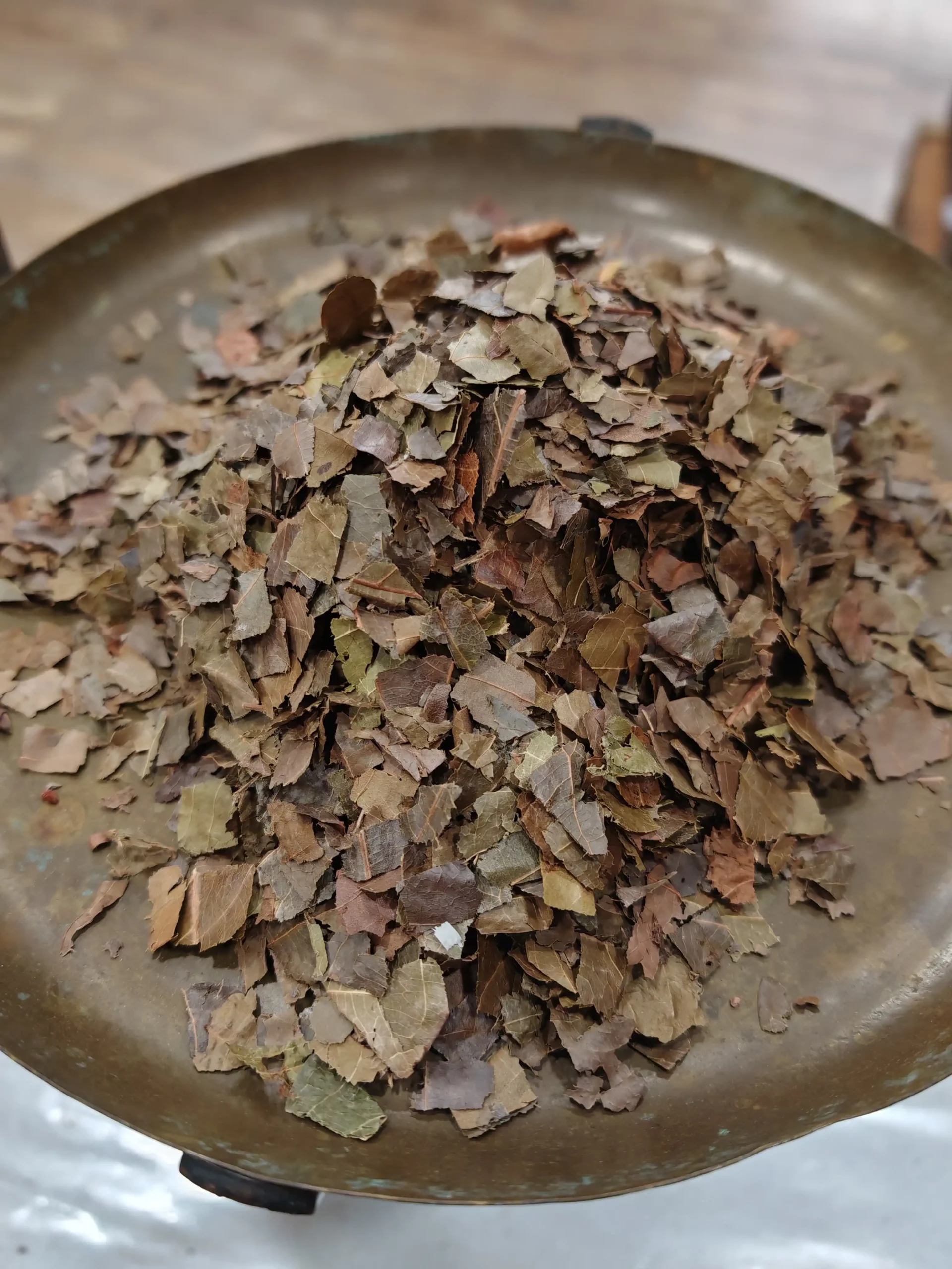 Kinkeliba - Combretum micranthum