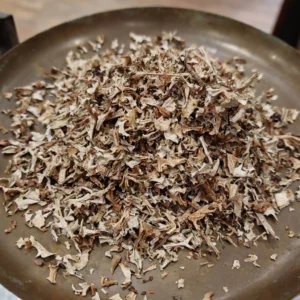 Lichen d'Islande - Cetraria islandica