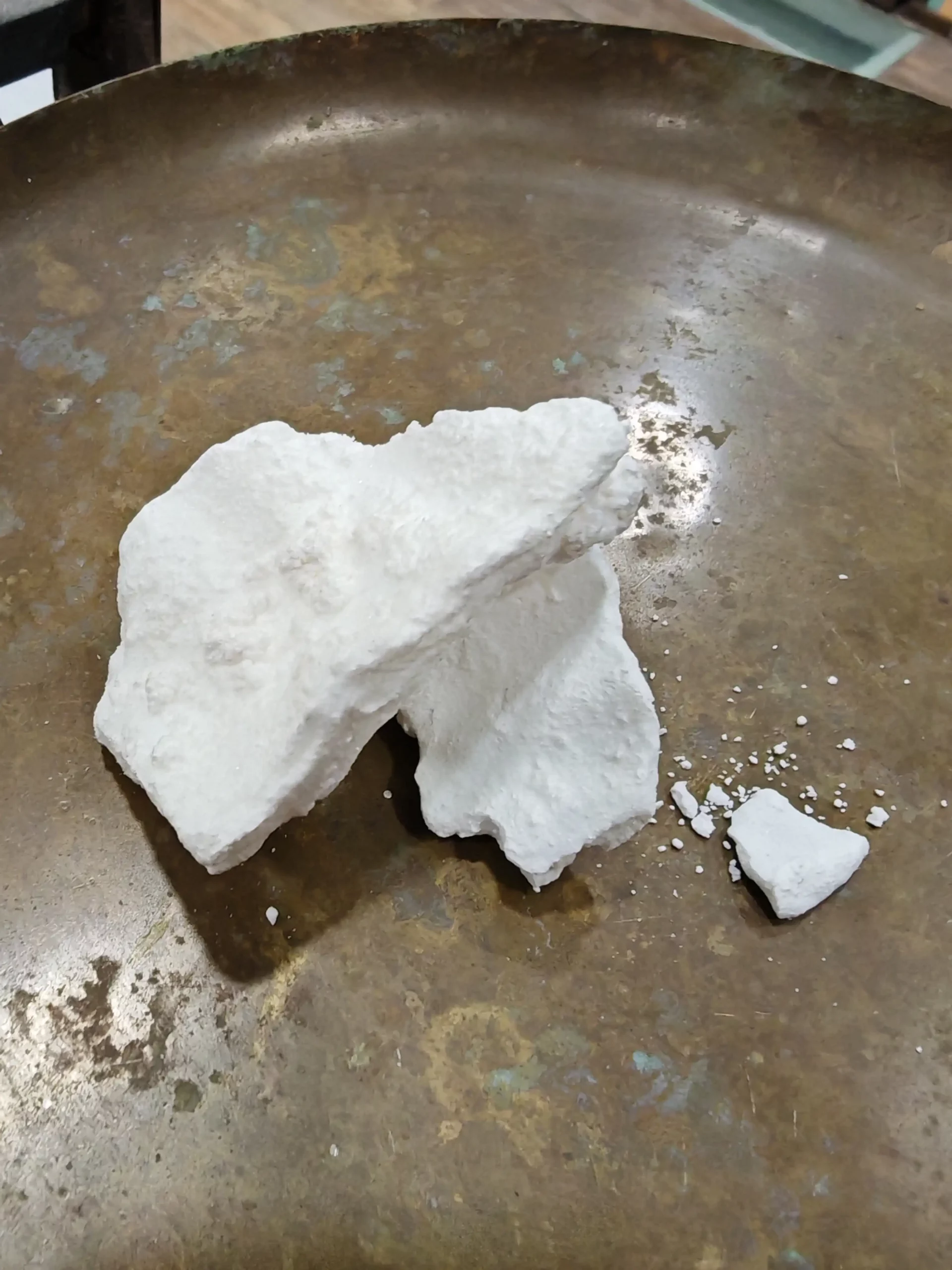 Manne en larme - Fraxinus ornus