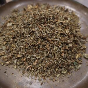 Mauve - Malva sylvestris