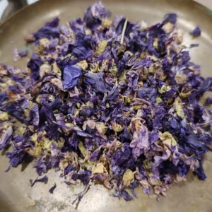 Mauve (fleur) - Malva sylvestris